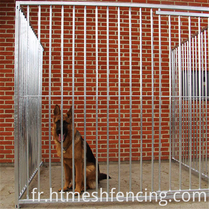 Chine Factory High Quality Grand Dut Duty Dog Kennel Dog Cage Dog Dog House